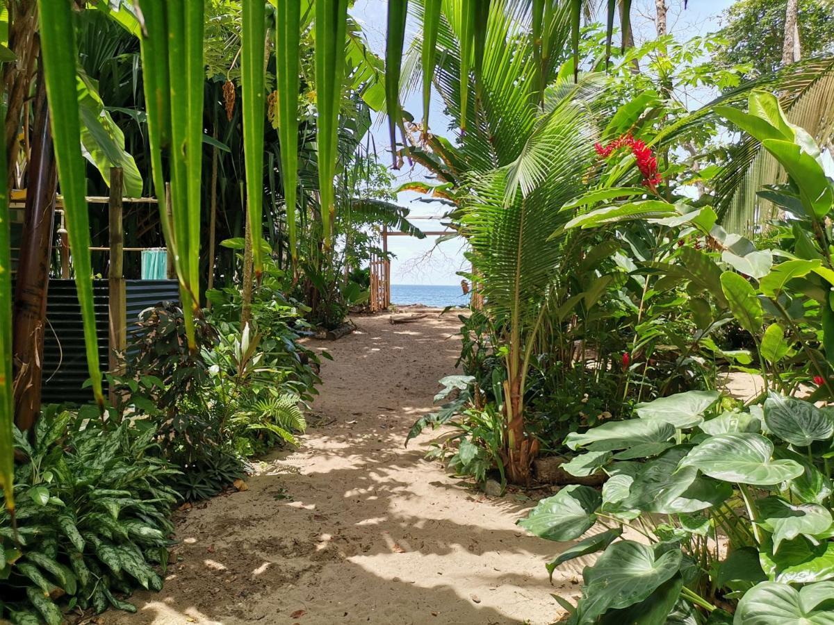 Oasis Beachfront Hostel Пуерто Лимон Екстериор снимка