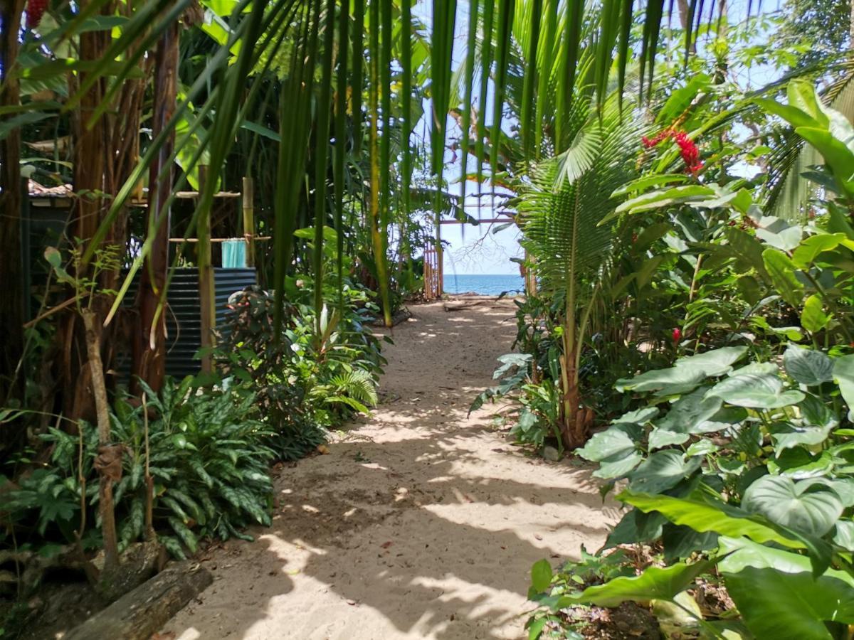 Oasis Beachfront Hostel Пуерто Лимон Екстериор снимка