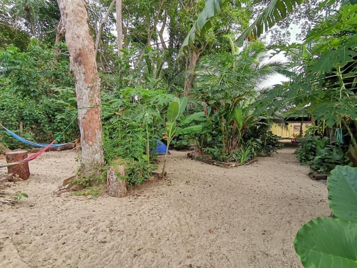 Oasis Beachfront Hostel Пуерто Лимон Екстериор снимка